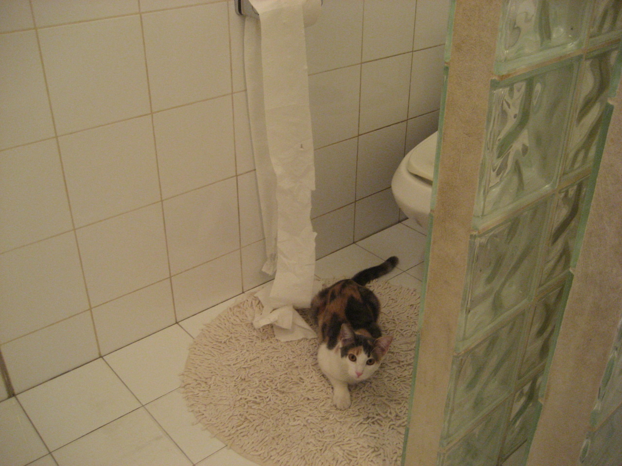 【赛事统计】关键数据解析与趋势预测，业务高手必修课_如何看懂关键数据