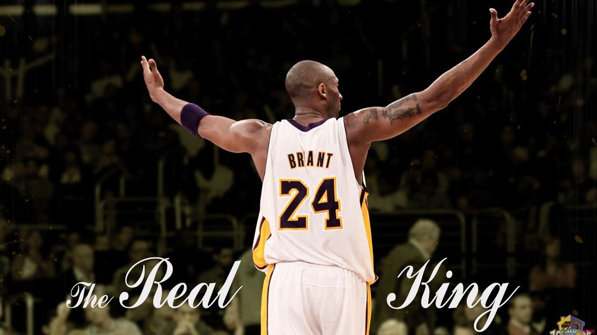 职业联赛推广环保理念引导绿色办赛新风尚，环保竞赛的意义